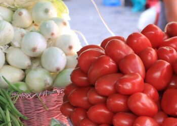 Piden emitir el reglamento de la Ley General de Alimentación Adecuada y Sostenible
