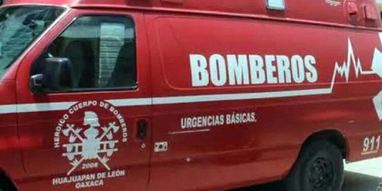 Atienden a menor por mordedura de perro.