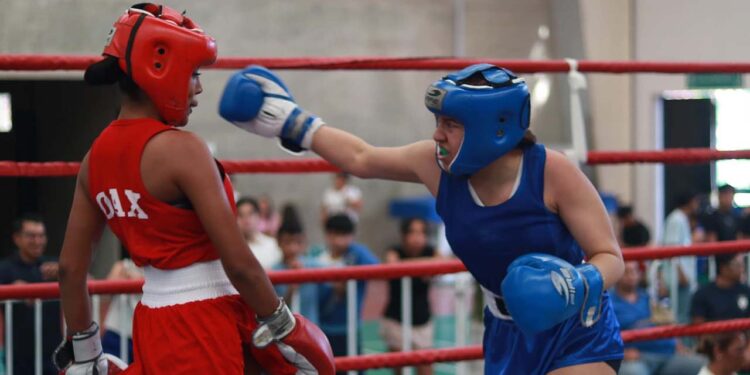 Con buena respuesta se celebró el Estatal de Box.