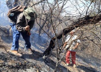 Foto: cortesía // Controlan incendio forestal en límites de Donají y San Felipe del Agua.