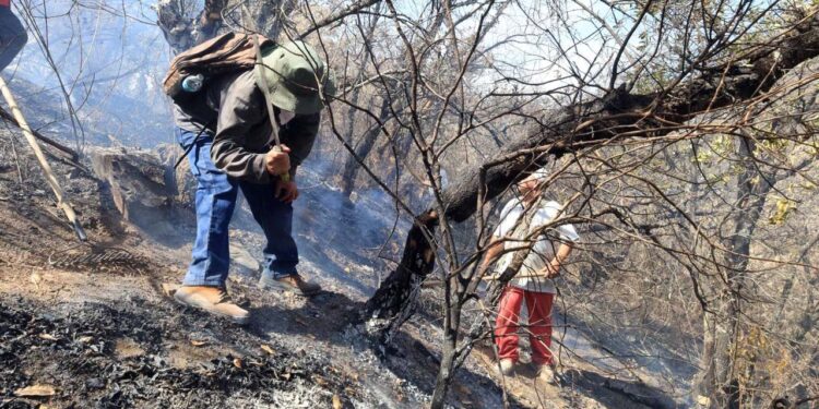 Foto: cortesía // Controlan incendio forestal en límites de Donají y San Felipe del Agua.