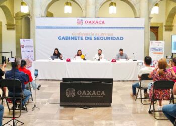Durante febrero únicamente se contabilizaron 46 casos.