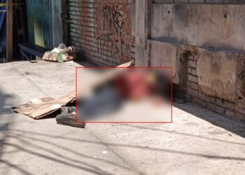 El adulto mayor fue hallado sin vida debajo de un cartón color paja.