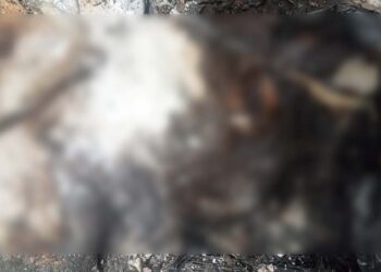 El cuerpo fue encontrado la mañana del sábado 22 de marzo, en un domicilio abandonado.