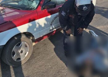 El joven fue valorado por los paramédicos.