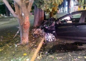 El vehículo se impactó brutalmente contra un árbol.