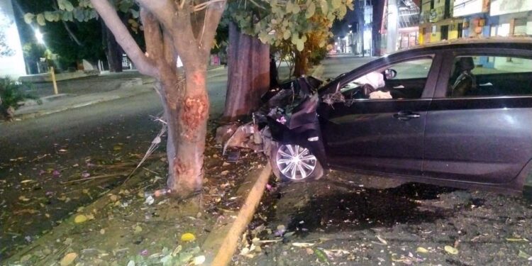 El vehículo se impactó brutalmente contra un árbol.