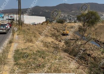 Frenen el ecocidio en el Atoyac; exige investigadora del CIIDIR