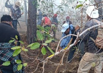 El reporte del incendio forestal se registró en la localidad Santa Lucrecia.