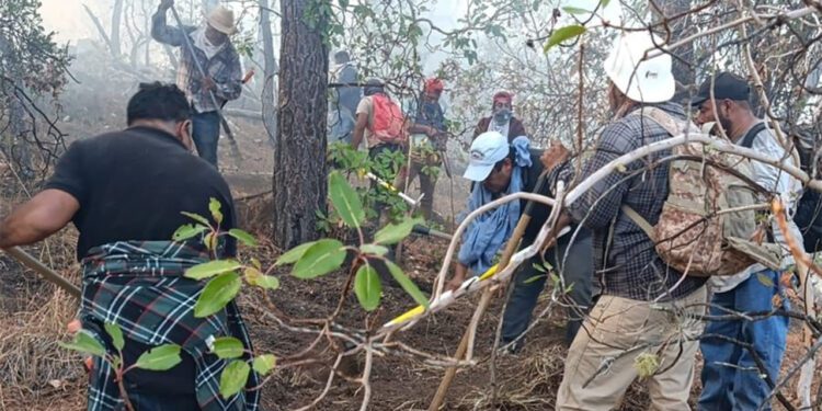El reporte del incendio forestal se registró en la localidad Santa Lucrecia.