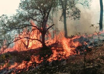Piden a las autoridades lanzar mensajes de prevención y concientización a los jornaleros mazatecos.