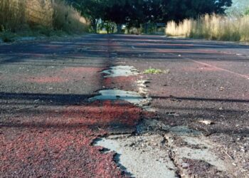 La Unidad Deportiva “El Tequio”, en el abandono y la desolación