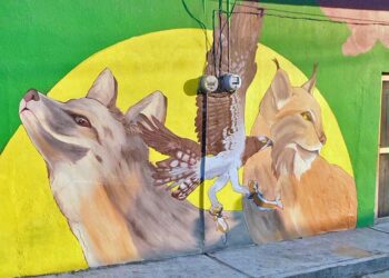 Plasman en sus murales la riqueza natural de la Reserva de la Biosfera Tehuacán-Cuicatlán.