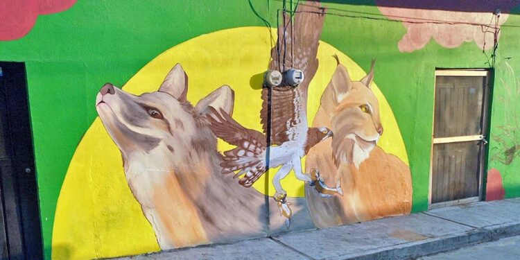 Plasman en sus murales la riqueza natural de la Reserva de la Biosfera Tehuacán-Cuicatlán.