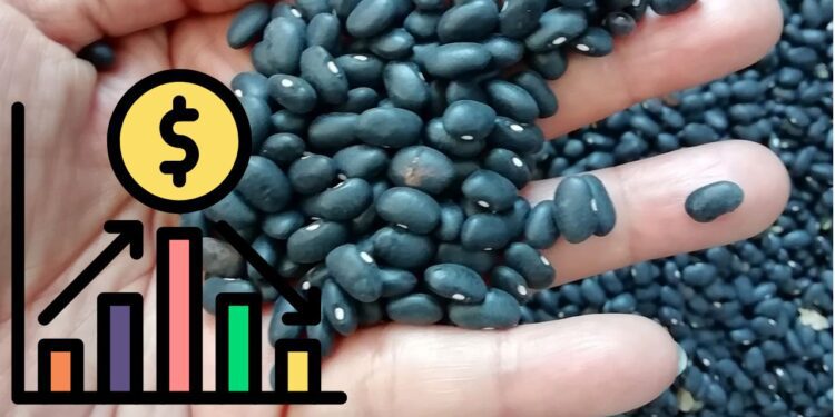 ¡Conoce las marcas de frijol más baratas y las más caras a principios de marzo, según Profeco!