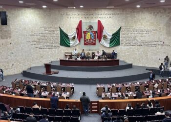 Candados en el Congreso para evitar privatizar bienes públicos