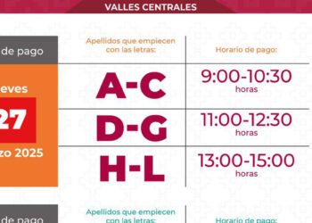 Sección 22: ¡profesores se quedan sin quincena!