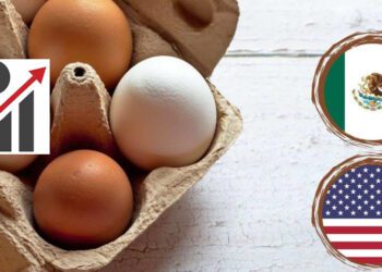 ¡México tiene suficientes huevos! Exportaciones récord a EE. UU. y su impacto en Oaxaca