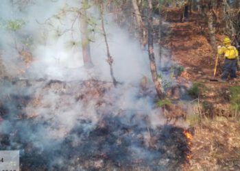 Oaxaca a contrarreloj: 12 horas para llegar a combatir un incendio; tercero más lento del país