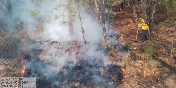 Oaxaca a contrarreloj: 12 horas para llegar a combatir un incendio; tercero más lento del país