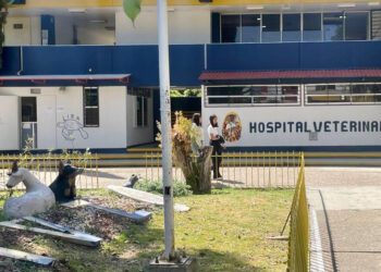 UABJO ofrece servicio de cremación de mascotas