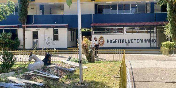 UABJO ofrece servicio de cremación de mascotas