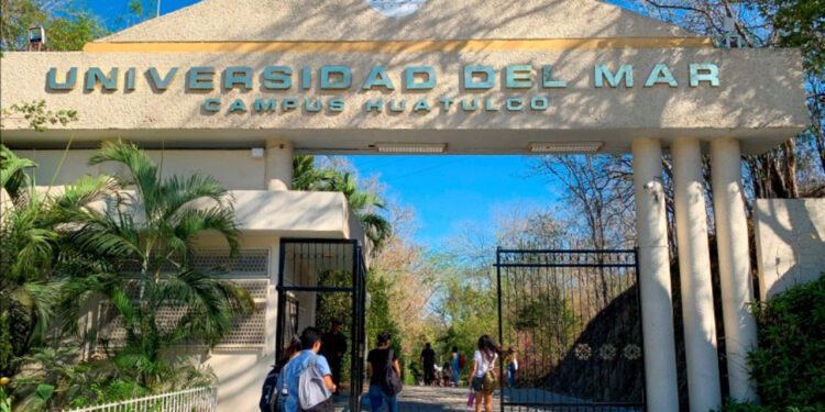 Suneo tiene abierta convocatoria para primer ingreso; cierra en junio