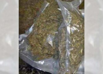 Le encontraron dos bolsitas con hierba seca.