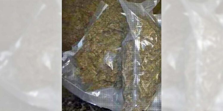Le encontraron dos bolsitas con hierba seca.