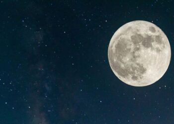 ¿Cuándo alcanza su punto máximo la Luna Llena de Gusano?