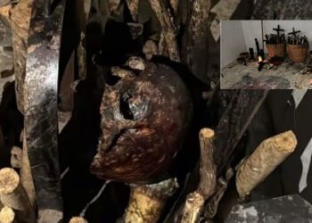 ¿Qué secretos oculta la casa de Dionicio Álvarez, exfuncionario de Cuauhtémoc Blanco, tras el hallazgo de cráneos humanos?