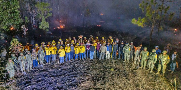 Participaron las brigadas de combatientes con sede en Tlalixtac y San Francisco Yosocuta, de la Conafor, Defensa y Policía Estatal.