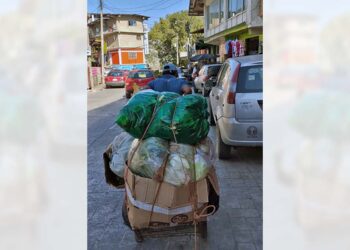 Pidieron que se denuncie a quien se le sorprenda tirando sus desechos en lugares limpios.