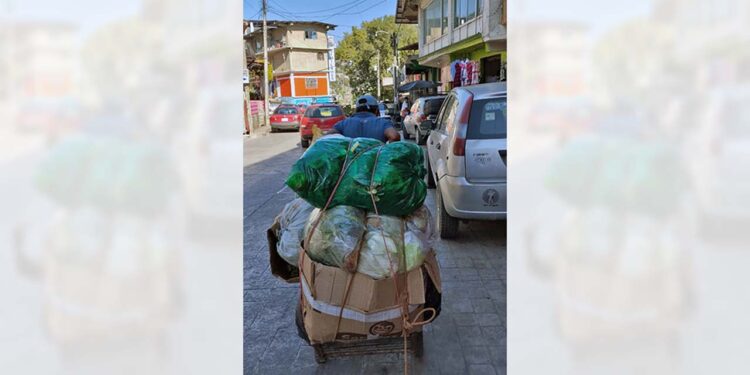 Pidieron que se denuncie a quien se le sorprenda tirando sus desechos en lugares limpios.