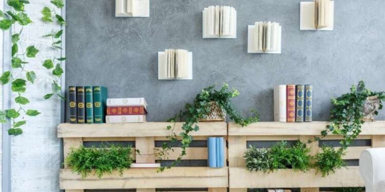 Refresca tu hogar con Feng Shui: Las mejores plantas para combatir el calor y atraer buenas energías