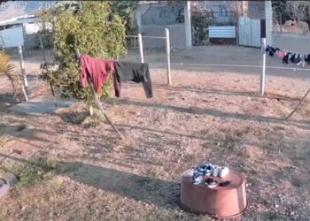 VIDEO | ¡Le bajan los calzones! Saquea tendedero en San Pablo Huixtepec, ¿broma o una alerta de comportamientos peligrosos?