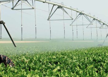 México Invertirá 51 Mil Millones para Riego Eficiente