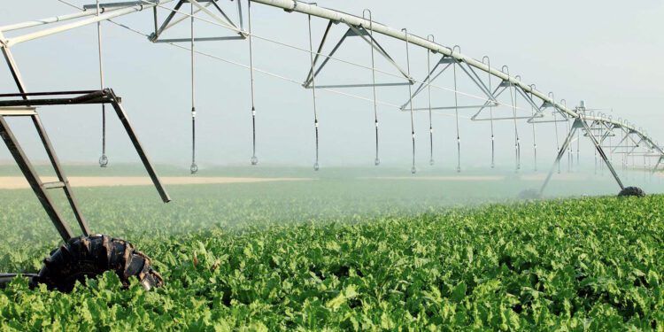 México Invertirá 51 Mil Millones para Riego Eficiente