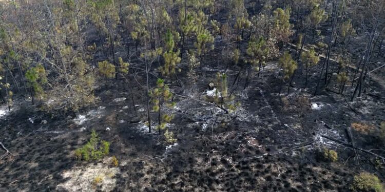 Suman esfuerzos para controlar incendio forestal en comunidades de la Mixteca.
