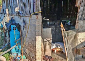 Un hombre de 73 años murió atacado por abejas.