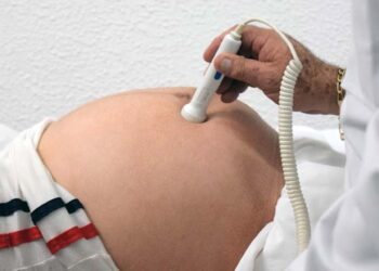 Foto: internet – ilustrativa // De acuerdo a la última actualización de muertes maternas de la Secretaría de Salud federal, el registro ocurrió en una unidad del IMSS OPD.