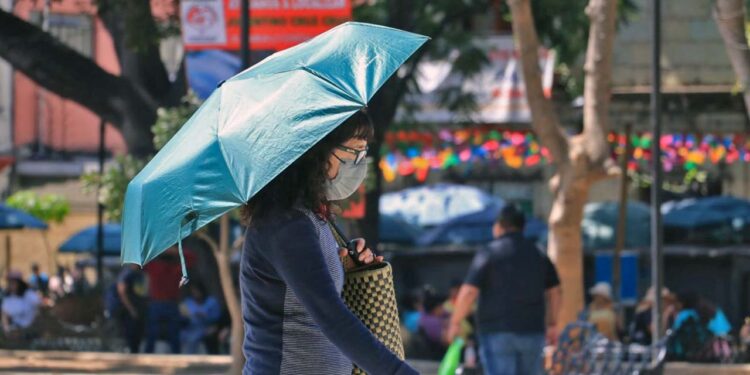 Foto: Adrián Gaytán // Las autoridades de protección civil recomiendan a la población tomar medidas preventivas para evitar los golpes de calor.