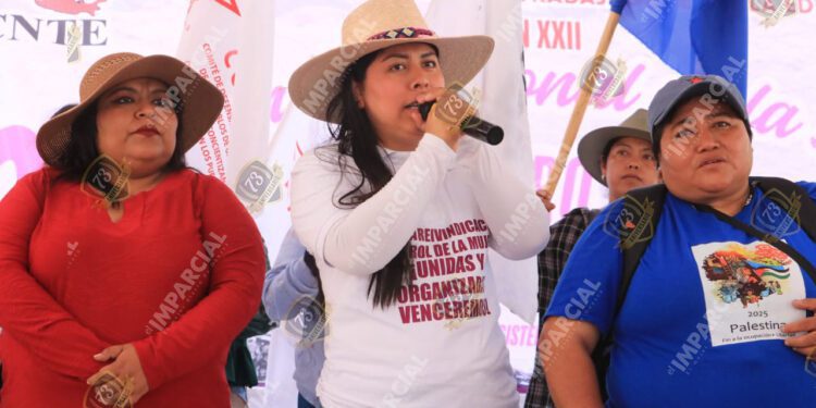 mitin s22 8M