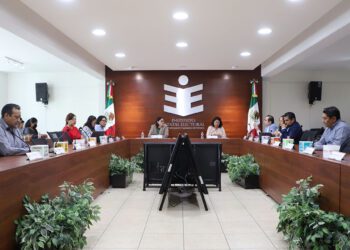 El Consejo General del Instituto declaró la pérdida de registro de los dos partidos en Sesión Extraordinaria de este miércoles.