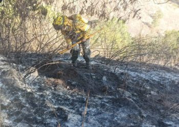 Tras muerte de comunero, brigadistas de la Coesfo apagan incendio forestal en Santa María Cuquila