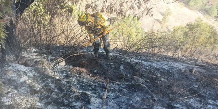 Tras muerte de comunero, brigadistas de la Coesfo apagan incendio forestal en Santa María Cuquila