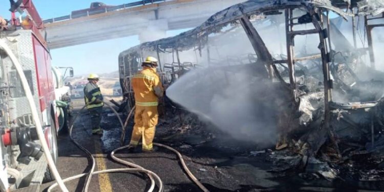 Atroz colisión entre camión y tracto-camión en la autopista Gómez Palacio-Durango
