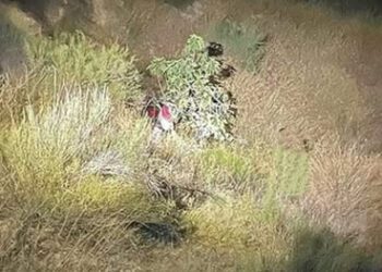Fallecen tras siniestro en motocicleta en Santa María Colotepec