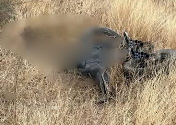 Ultiman a ‘tiros’ a motociclista en la Supercarretera Mitla-Tehuantepec