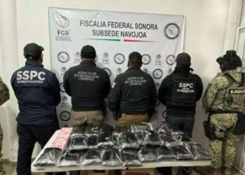 “Exportan” fentanilo ¡en cajas de nopales!